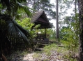  ����� ����� ����� ���� (Pulau Payar Marine Park) 11
