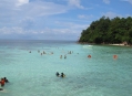  ����� ����� ����� ���� (Pulau Payar Marine Park) 8