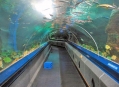  Аквариум - Подводный Мир (Aquarium - Underwater World) 1