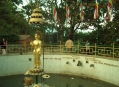  Сваямбунатх (Swayambhunath) 8