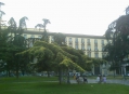  Площадь Муниципалитета (Piazza del Municipio) 6