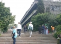  ����� ������� ����������� (Museum Calouste Gulbenkian) 1