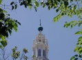  ��������-��-������� (Estrela Basilica) 8