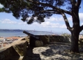  ����� ������� ������� (Castle of Sao Jorge) 8